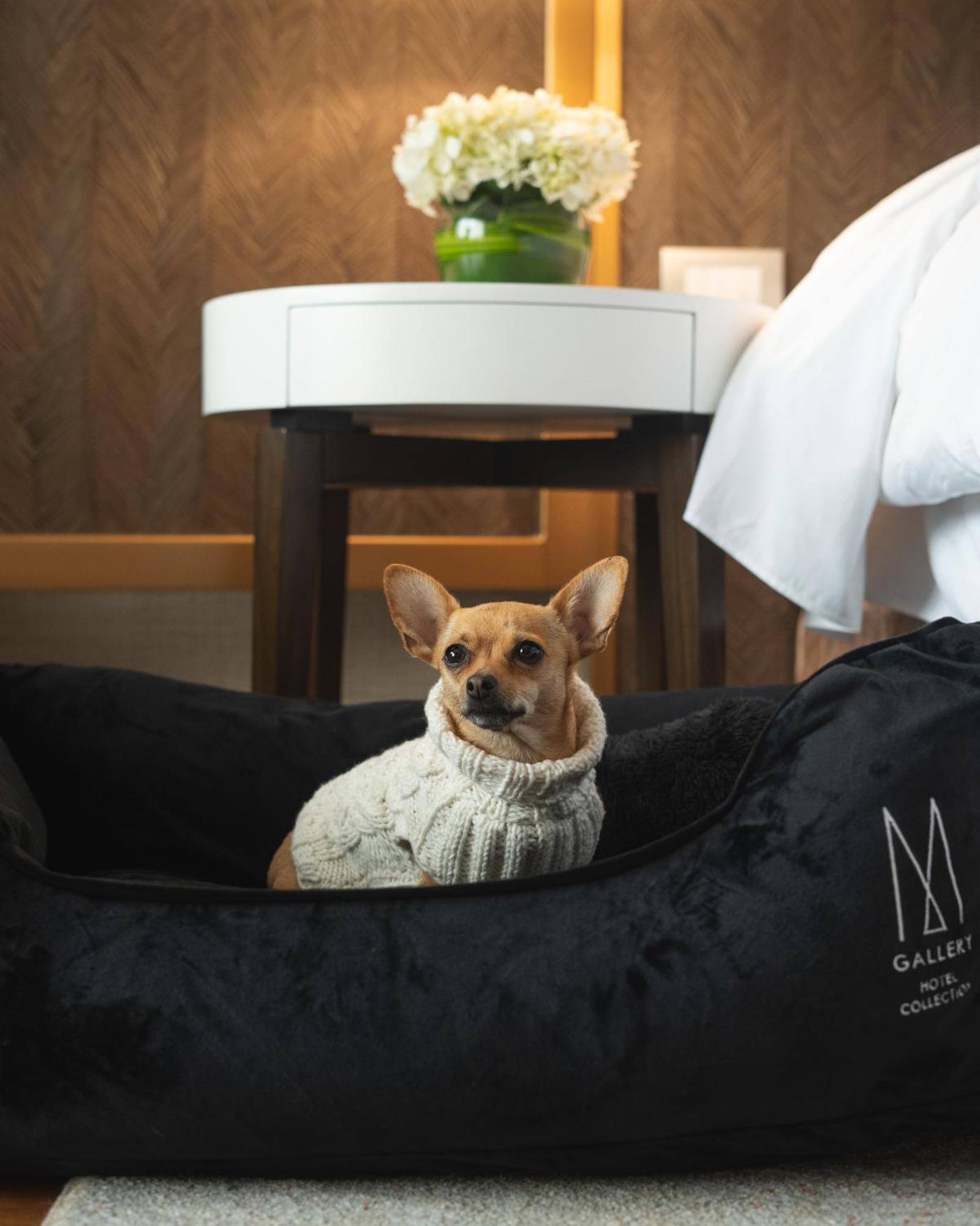 Manto Hotel Lima - Mgallery Kültér fotó
